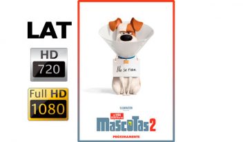 La vida secreta de tus mascotas 2 Poster