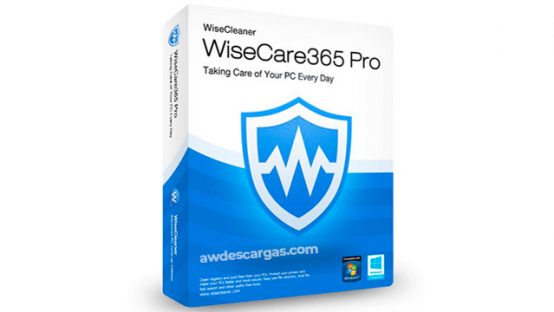 wise cleaner 365 pro
